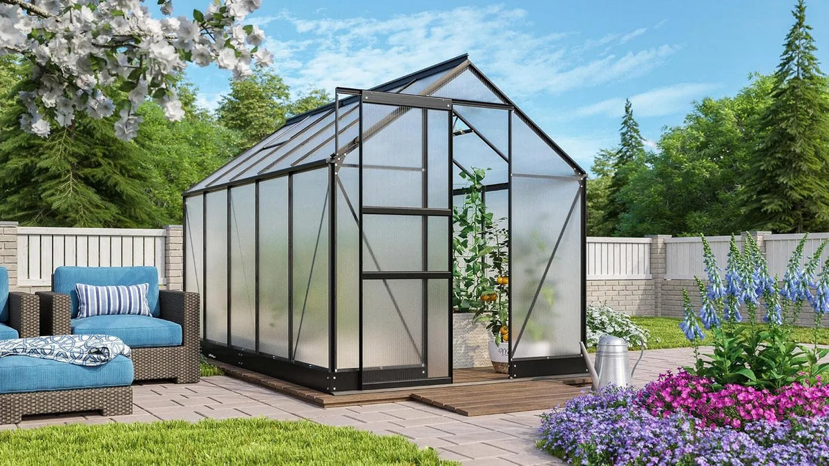 Gewächshaus 6200 Vitavia, in Schwarz, Apollo, HKP 6mm