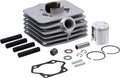Modell komplett mit Kolben S70 SR80-70ccm Set: Zylinder, Ø=45,00mm, NPC-Beschichtung