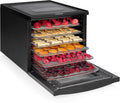 Princess Food Dehydrator mit 6 Edelstahl-Einschüben, Leistung 550 W, Timer bis 48 Stunden, 01.112398.01.001, Einstellbare Temperatur, Touchscreen